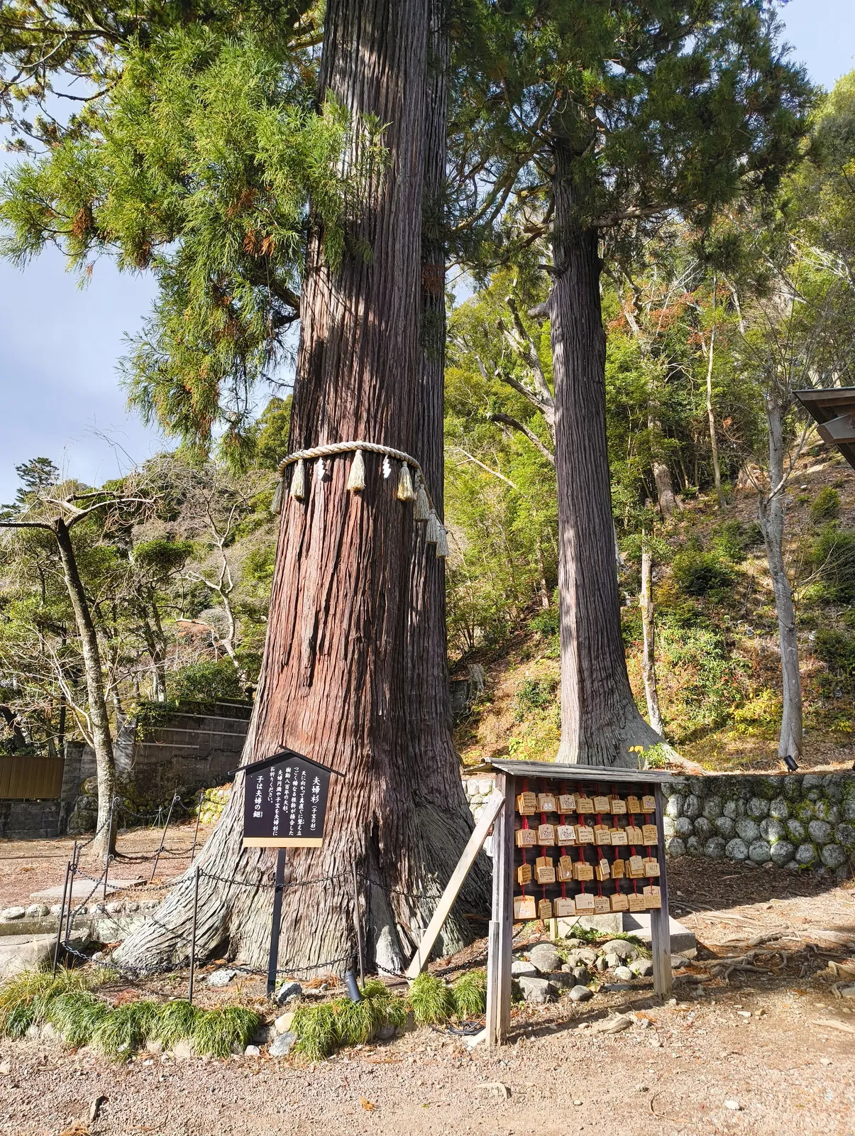 direction-nagoya_007